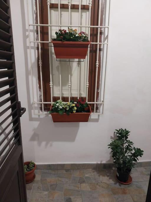 Casa vacanze Myrica House Palermo